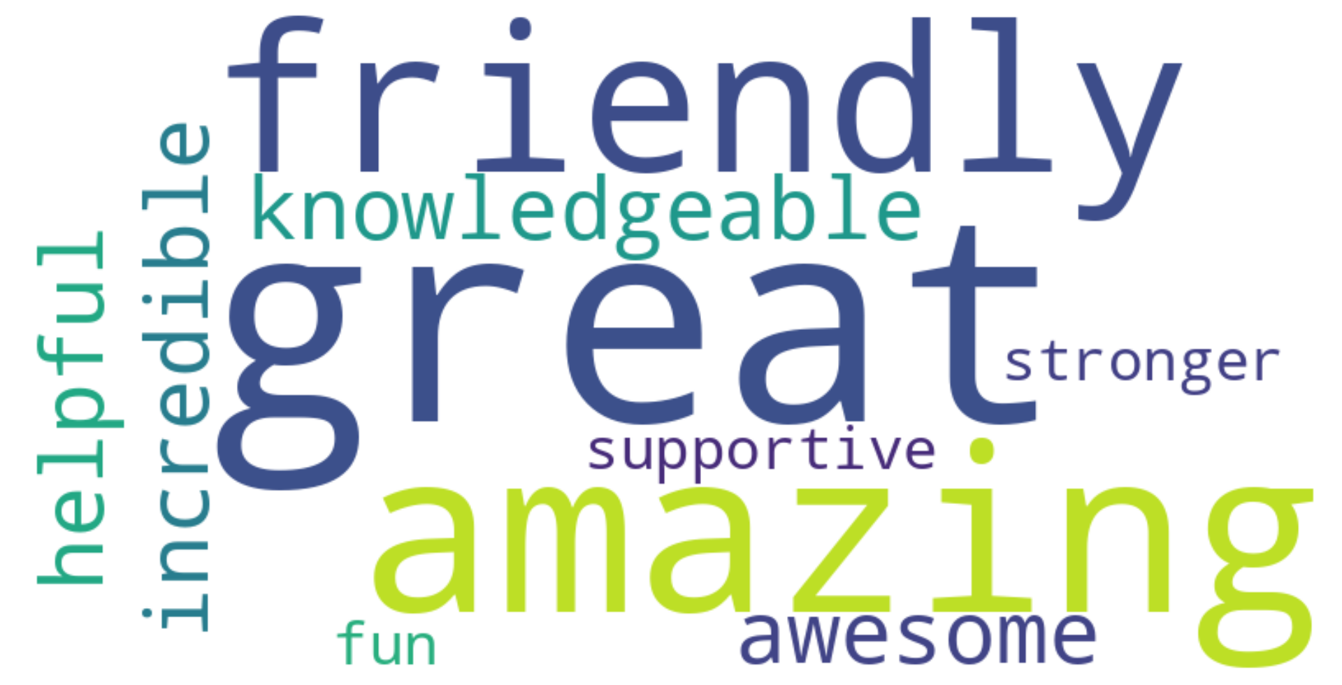 A word cloud made of adjectives describing Whole Health Solutions, including “great,” “amazing,” “knowledgeable,” “friendly,” and “supportive.”